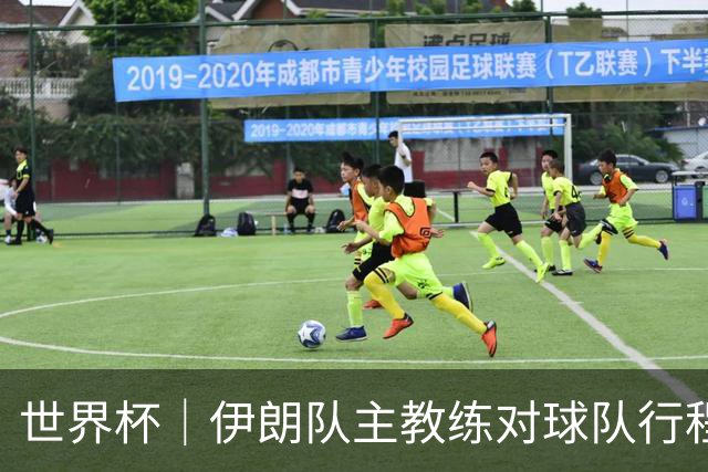 世界杯｜伊朗队主教练对球队行程突变表示强烈不满