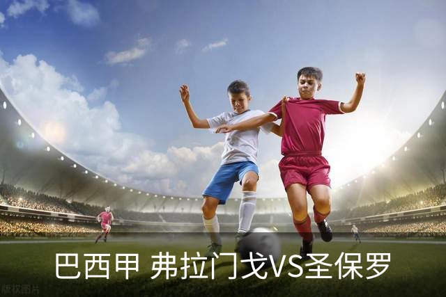 巴西甲 弗拉门戈VS圣保罗