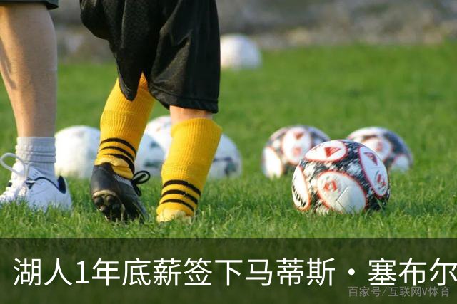 湖人1年底薪签下马蒂斯·塞布尔 上季三分命中率39.8%